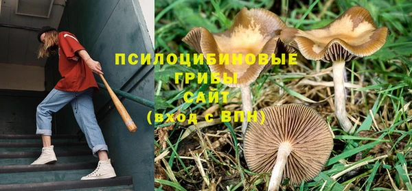 спиды Верхний Тагил