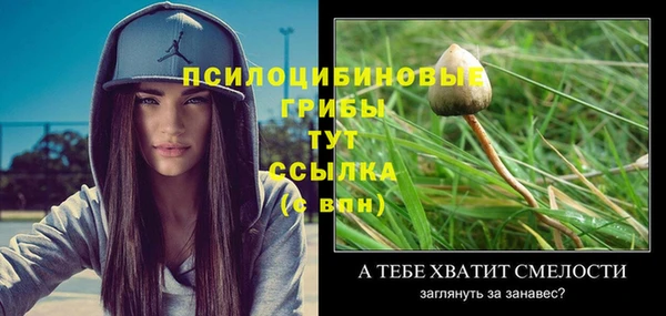 спиды Верхний Тагил
