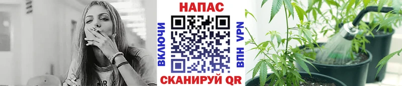 МАРИХУАНА Amnesia  где купить   Кедровый 